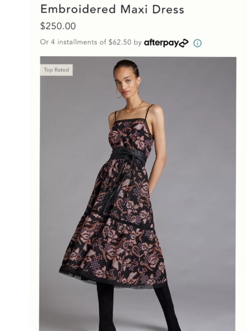 Anthropologie Embroidered Maxi Dress Size L - Picture 2 of 14